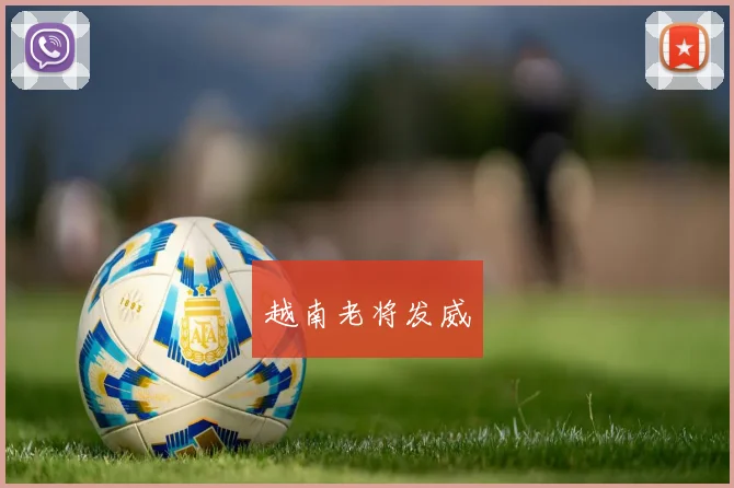 越南老将发威
