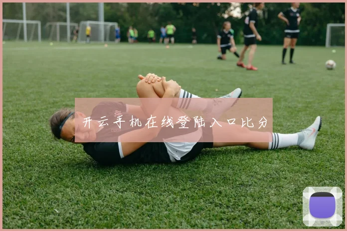 开云手机在线登陆入口比分