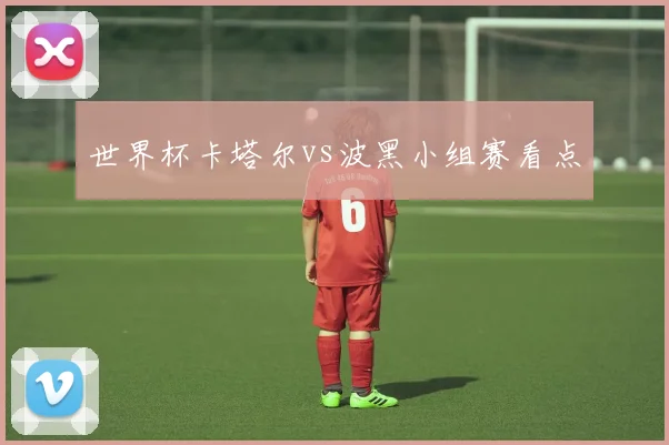 世界杯卡塔尔vs波黑小组赛看点