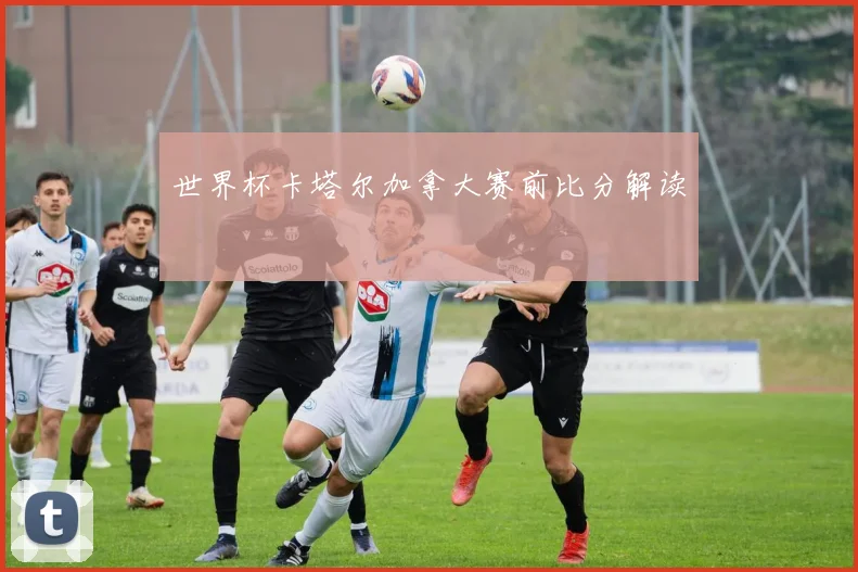世界杯卡塔尔加拿大赛前比分解读