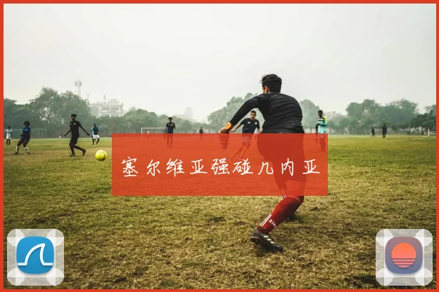 塞尔维亚强碰几内亚
