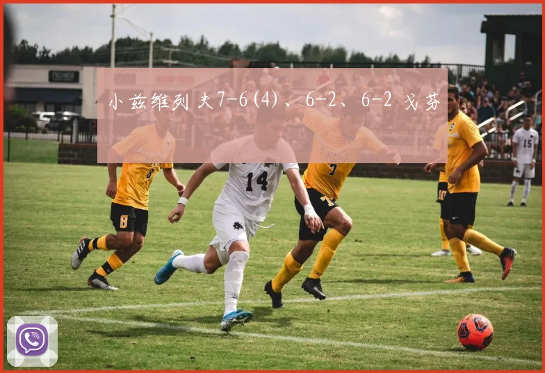 小兹维列夫7-6(4)、6-2、6-2 戈芬