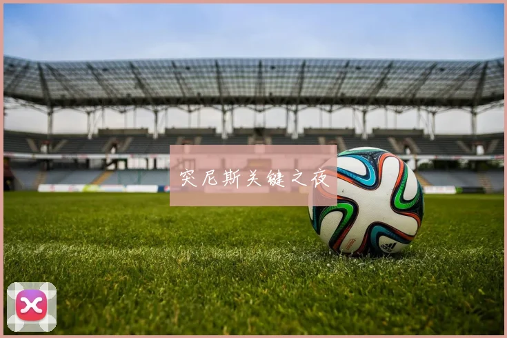 突尼斯关键之夜