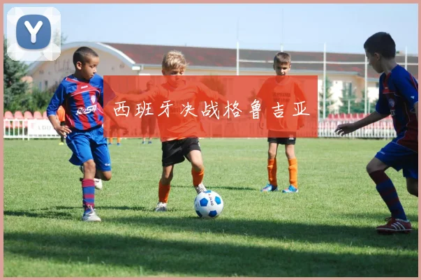 西班牙决战格鲁吉亚