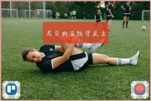 尼日利亚防守反击