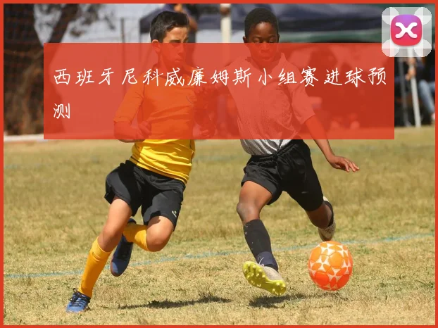 西班牙尼科威廉姆斯小组赛进球预测