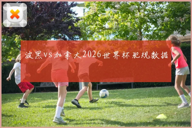 波黑vs加拿大2026世界杯犯规数据