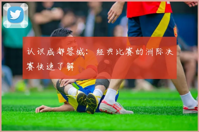 认识成都蓉城:经典比赛的洲际决赛快速了解
