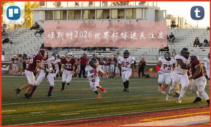 福斯特2026世界杯球迷关注度