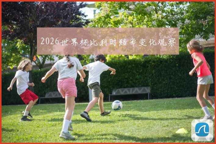 2026世界杯比利时赔率变化观察