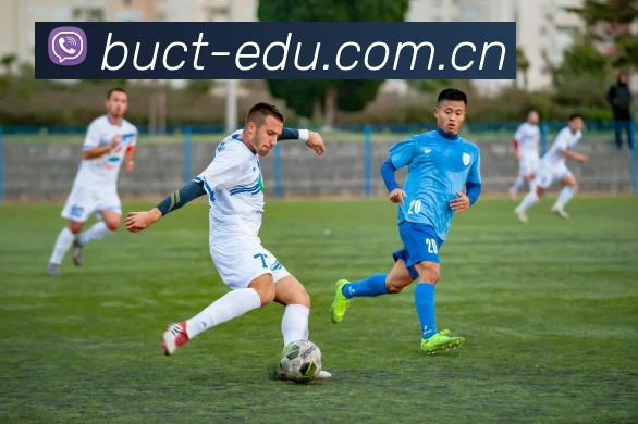 MK网站信誉有保障的-MK世界杯（中国）平台生态图