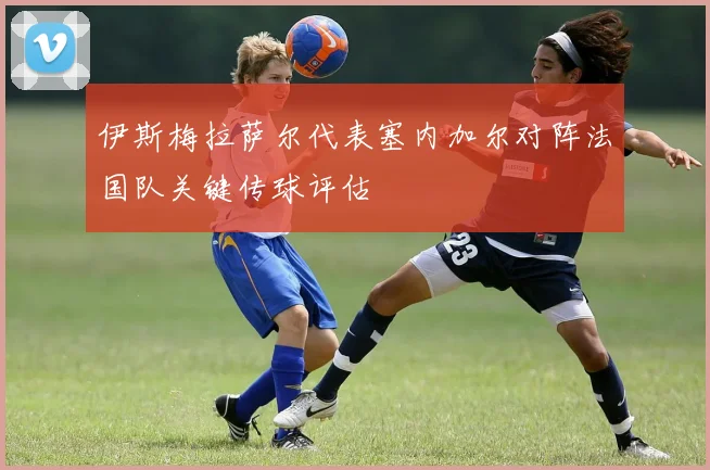 伊斯梅拉萨尔代表塞内加尔对阵法国队关键传球评估