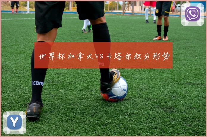 世界杯加拿大vs卡塔尔积分形势