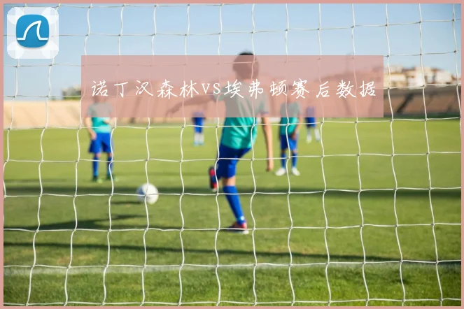 诺丁汉森林vs埃弗顿赛后数据